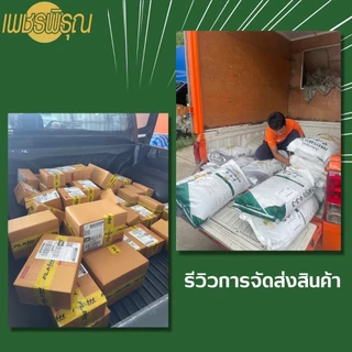ปุ๋ย ปุ๋ยอินทรีย์เคมี 9-3-3 ปุ๋ย ใส่ทุเรียน ในการบำรุงต้น กระตุ้นการแตกยอดใหม่ ทุเรียนเล็ก (1 กิโล)