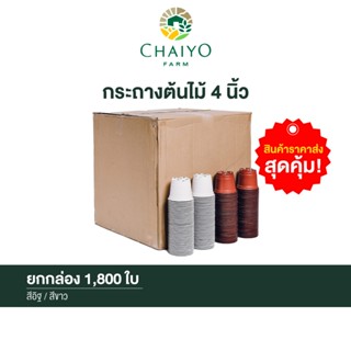 กระถางต้นไม้  4 นิ้ว ยกกล่อง 1,800 ใบ  POT 100 mm (4 inches)…