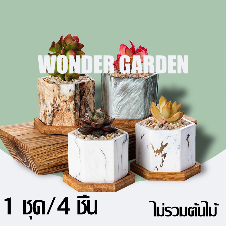 กระถางเซรามิค เคลือบเงา กระถางแคสตัส ตกแต่งบ้าน