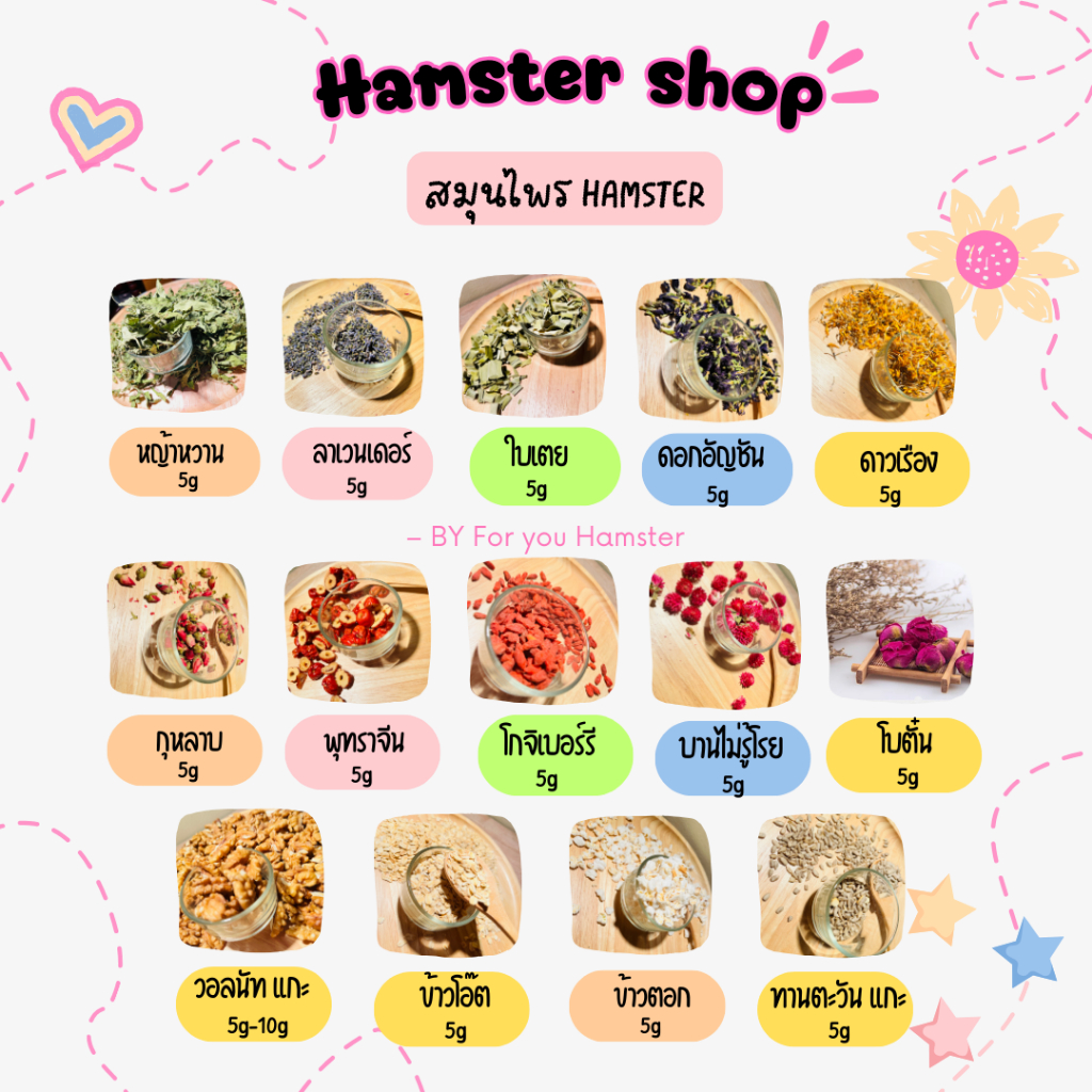 ของมีประโยชน์ Hamster หลากหลายชนิด ราคาประหยัด กรุณาสังขั้นต่ำ 50 บาท