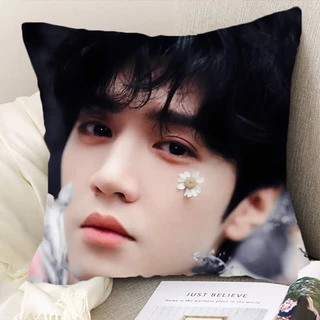 Pre Order🌈 หมอน เฉินเจ๋อหย่วน ChenZheyuan แอบรักให้เธอรู้ ‼️รอของ25-30วัน