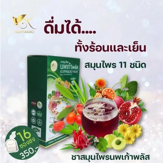 ชานพเก้า ชานพเก้าพลัส ชาสมุนไพรนพเก้าสูตรพลัส ชาชงนพเก้าพลัส สมุนไพรแท้ 11ชนิด สมุนไพรดูแลสุขภาพ ของแท้100% จากบริษัท