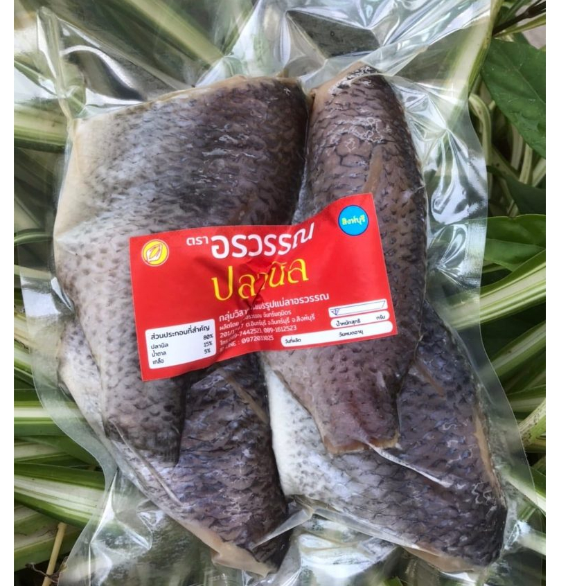 🐟 ปลานิลแดดเดียว 🐟 ขนาด 500 กรัม