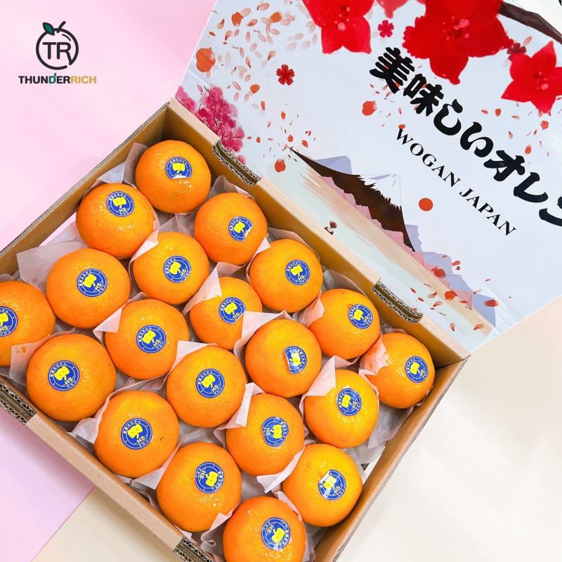ส่งฟรี สินค้าเข้าใหม่ 6/12/67 Mandarin Orange ส้มแมนดารินไต้หวันกล่องซากุระนำเข้าจากประเทศจีน