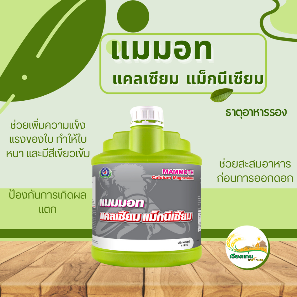 แมมมอท แคลเซียม แม็กนีเซียม | 4 ลิตร(L) | ธาตุอาหารรองที่จำเป็นสำหรับพืช ทำให้พืชแข็งแรง