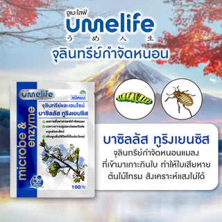 อูเมะไลฟ์ บาซิลัส ทูริงเยนซิส 100 กรัม จุลินทรีย์กำจัดหนอน ป้องกันแมลงกินใบ ป้องกันใบเหี่ยวจากเพลี้ย