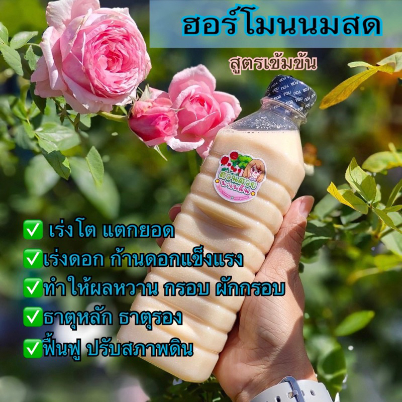 🐄ฮอร์โมนนมสด 🥛จุลินทรีย์นมสด เพิ่มการแตกยอด แตกใบ บำรุงดอกขั้วเหนียว ช่วยให้ผลหวาน ปรับสภาพดิน ปุ๋ยน้ำหมักชีวภาพ🌿
