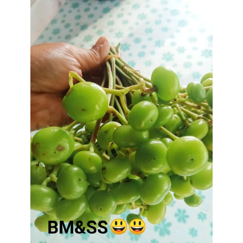 ส้มเขาคัน,ลูกเขาคัน,ส้มเถาคัน (ช่อละ250กรัม35฿)ตัดแต่งสวยงามทางร้านคัดเฉพาะลูกใหญ่ๆ ลูกสวยๆ