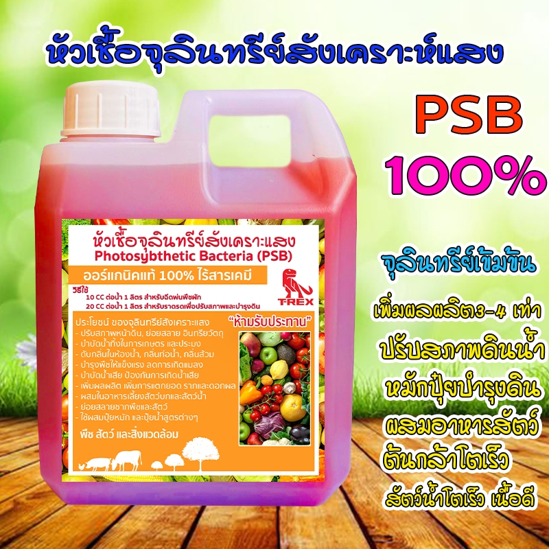 จุลินทรีย์ PSB สังเคราะห์แสง สูตรเข้มข้น บำรุงต้น ผล ใบ ใส่บ่อปลา บำบัดน้ำเสีย ขยายต่อเชื้อได้