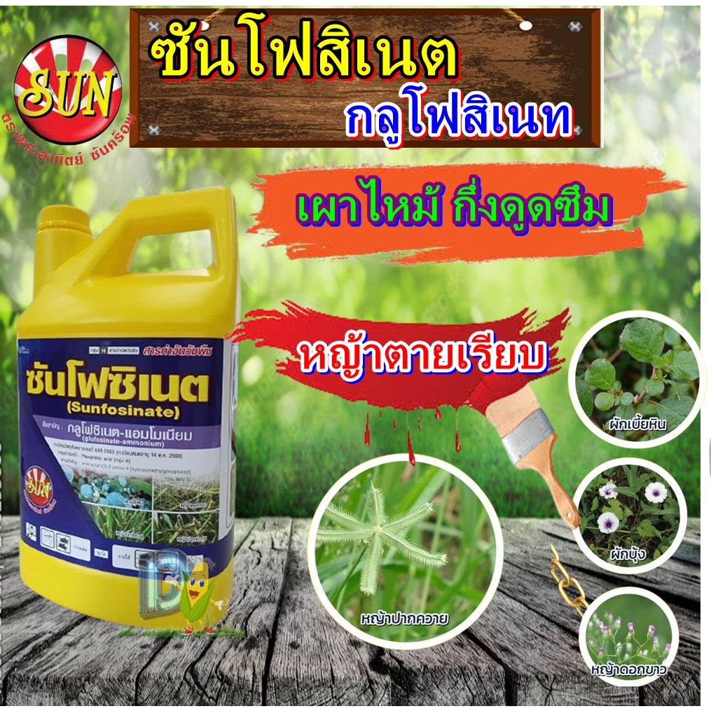 ซันโฟซิเนต 4ลิตร กลูโฟน้ำฟ้าใส พรีเมียม กำจัดวัชพืชทุกชนิดเผาไหม้+ดูดซึม สวน ไร่