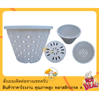(แพ็ค10ใบ) กระถางเร่งราก AIRPOT ขนาด 12 นิ้ว ลายสับปะรด (มีส่วนลดและของแถม) กระถางแอร์พอตพลาสติก เร่งราก