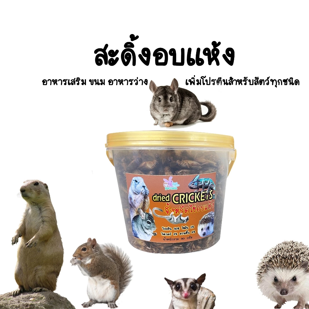 สะดิ้งอบเเห้ง อาหารเสริมโปรตีน แฮมเตอร์ ชูการ์ กระรอก เม่น เเฟตเทล เจอบิล อื่นๆๆ