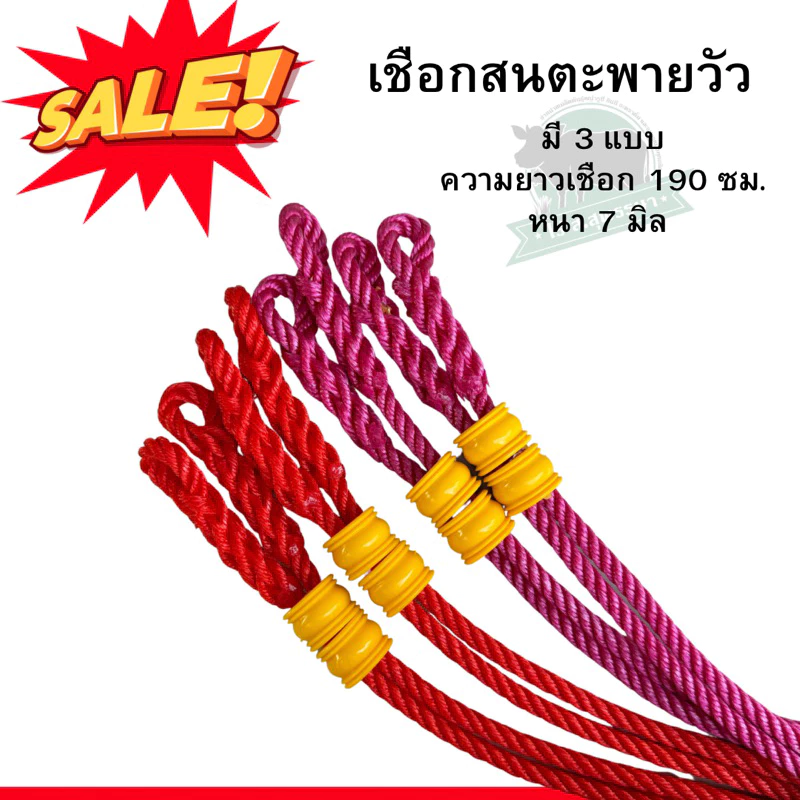 เชือกสนตะพายวัว ควาย 2เส้น พร้อมหวิน1คู่ ขนาด7มิล ยาว190ซม. สนเคราเชือกจูงวัว