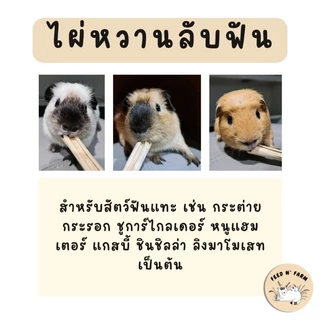 ไผ่หวานลับฟัน (100g./300g./500g.) สำหรับสัตว์ฟันแทะ (กระต่าย แกสบี้ ชูการ์ไกลเดอร์ แฮมเตอร์)