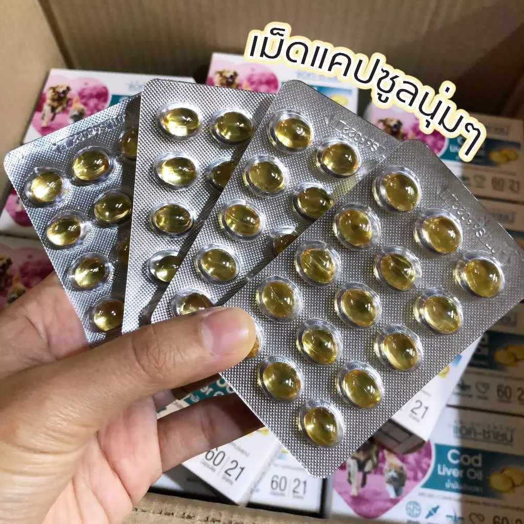 น้ำมันตับปลา Cod Liver Oil ตราแอคซายน์ บำรุงข้อต่อ สมอง ผิวหนังและขน หัวใจ thumbnail 5