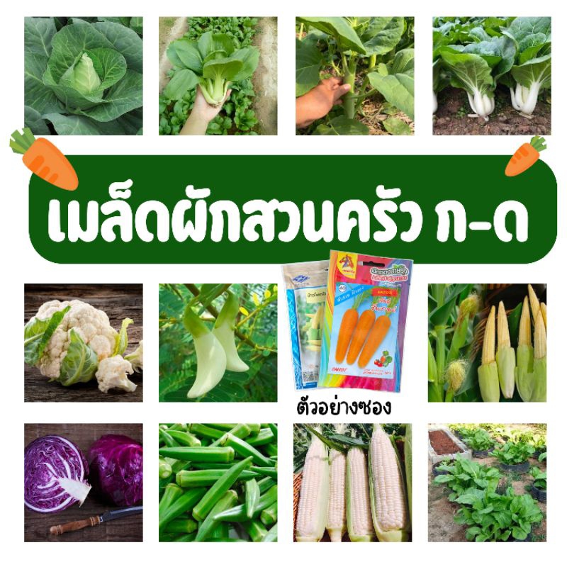 เมล็ดผักสวนครัว ชุด ก-ด เมล็ดพันธุ์ผัก เมล็ดผัก เมล็ดพันธุ์ผักสวนครัว ราคาถูก ได้เยอะ ขึ้นดี ตรา เจียไต๋ ม้ารุ้ง