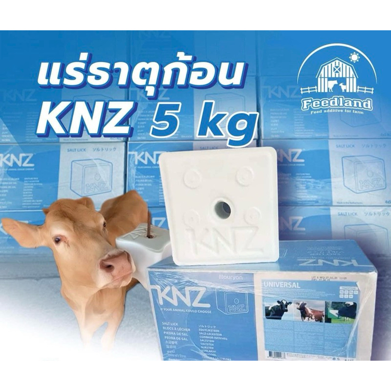 KNZ ขาว 5 กก แร่ธาตุก้อนนำเข้า