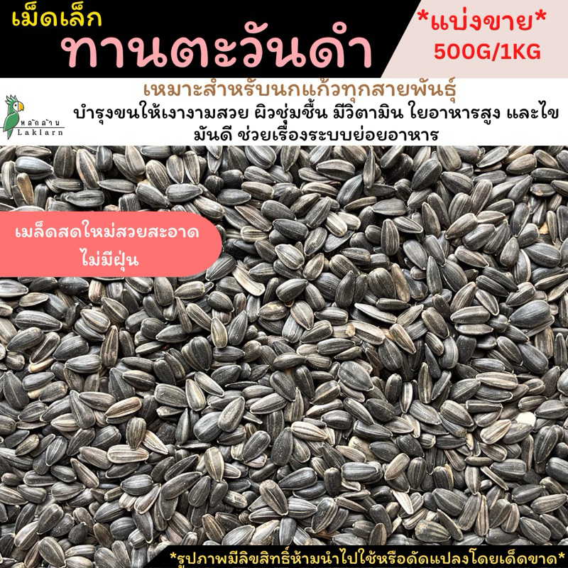 พร้อมส่ง!ทานตะวันดำ แบบเม้ดเล็กสำหรับนก แบ่งขาย500