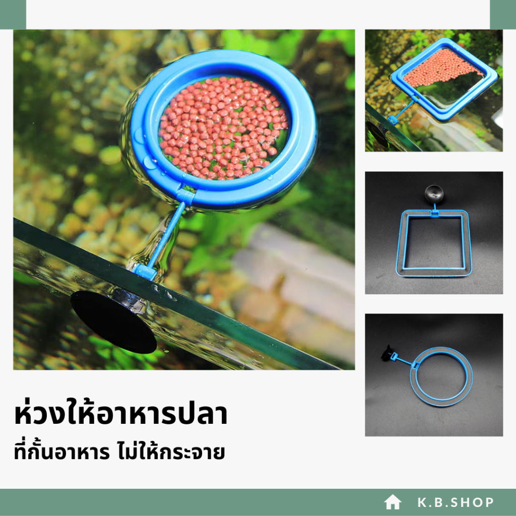 ห่วงให้อาหารปลา ที่กั้นอาหารปลา ขนาดเล็ก พร้อมส่ง