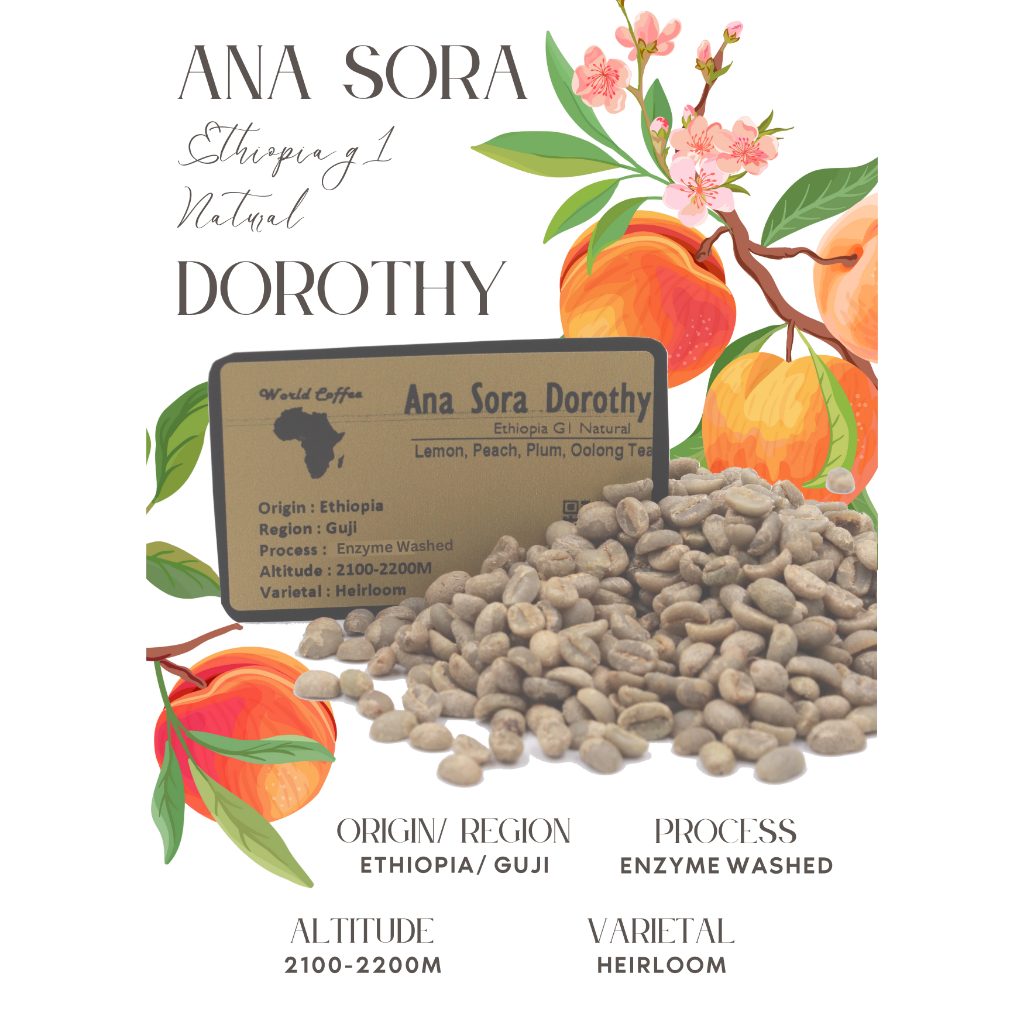 พร้อมส่ง เมล็ดกาแฟดิบ Ana Sora Dorothy Enzyme washed Process/ เมล็ดกาแฟนอก/ เมล็ดกาแฟสารเอธิโอเปีย