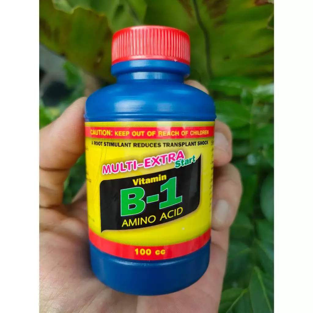 B1 น้ำยาเร่งราก สูตรเข้มข้น 🔥🔥 100 CC