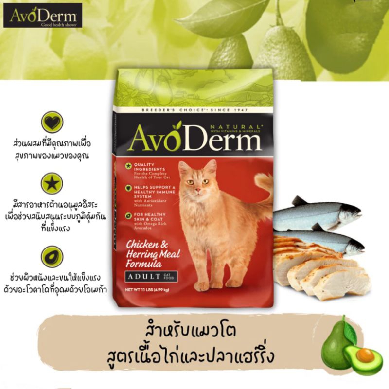 💥 ส่งฟรี💥💯 AvoDerm Cat Chicken &amp; Herring Meal Formula อาหารแมว สูตรเนื้อไก่&amp;เนื้อปลาเฮอร์ริ่ง  ทุกสายพันธุ์ (1.6 กิโล)