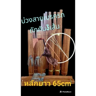 บ่วงซิ่งดักหนู บ่วงดีดสายเบรครถถัก3เส้น 50หลัง หลักยาว60cm พร้อมใช้