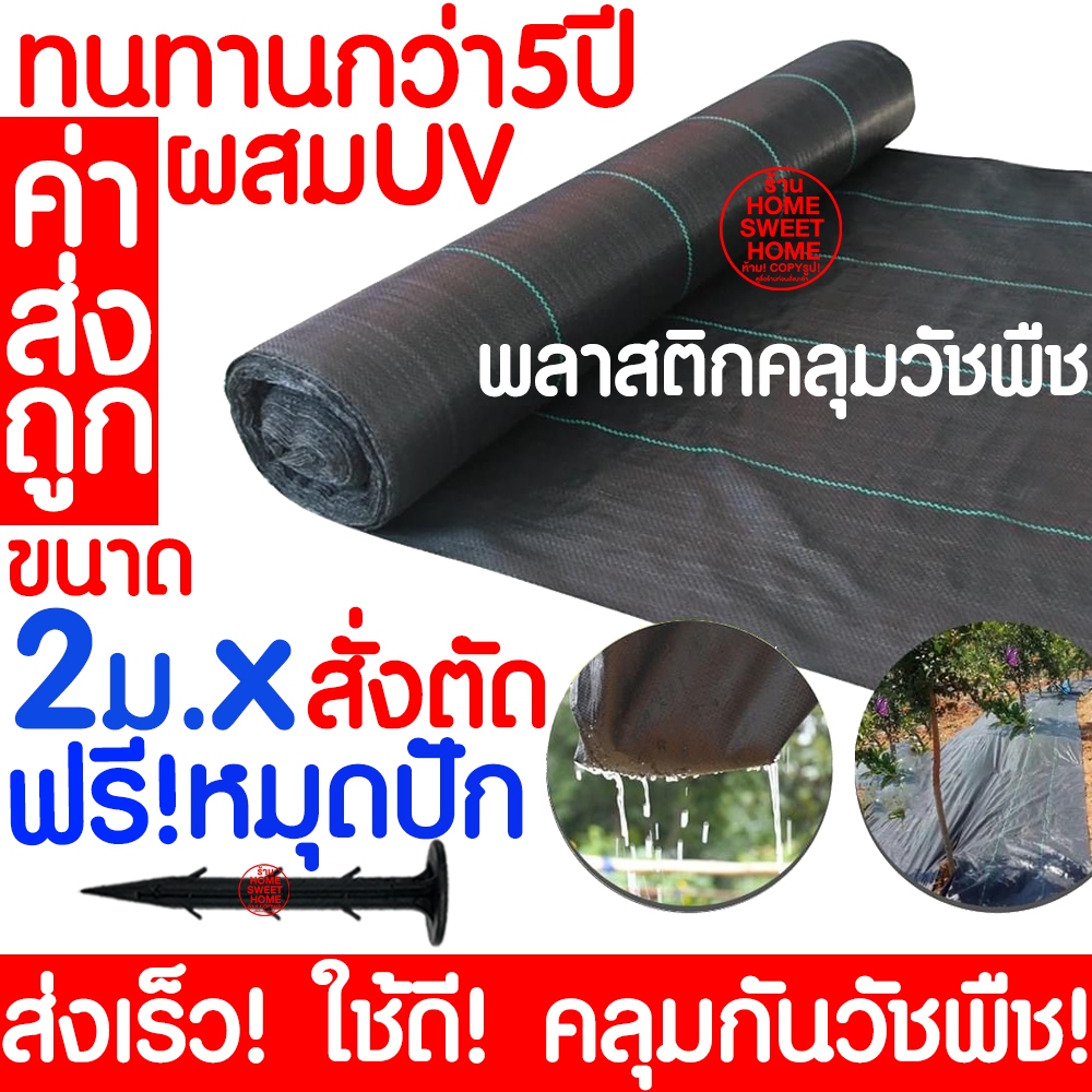 *ค่าส่งถูก* คลุมวัชพืช (2ม. แบ่งขาย) 6-8ปี กำจัดหญ้า พลาสติกคลุมดิน พลาสติกคลุมหญ้า ผ้าคลุมดิน ฆ่าวัชพืช clearance