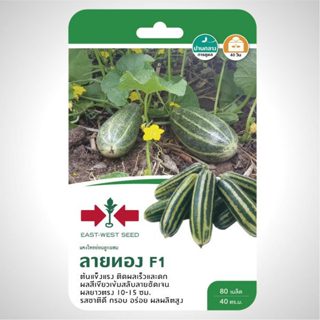 แตงไทยอ่อน ลายทอง 80เมล็ด ศรแดง