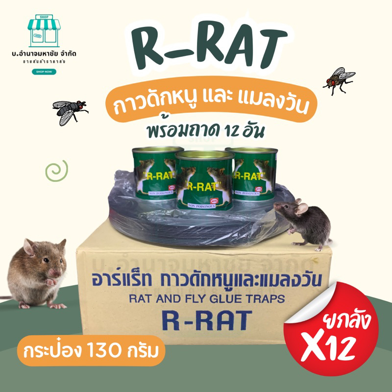 (ยกลังx12) R-RAT กาวดักหนูอาร์แร็ท ชนิดกระป๋อง น้ำหนักสุทธิ 130 กรัม