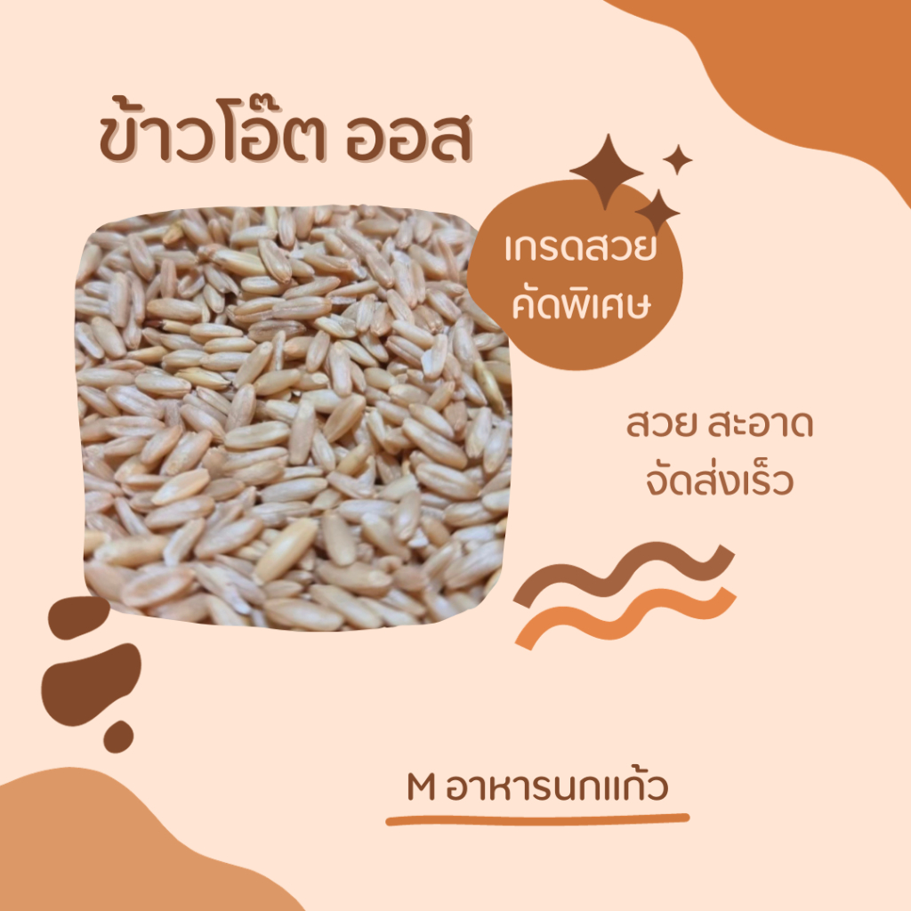 พร้อมส่ง!! ราคาถูกที่สุด ข้าวโอ๊ต( oat ) อาหารนก เกรดสวย