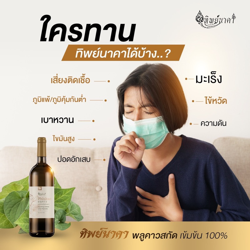 สมุนไพรพลูคาว(คาวตอง)ทิพย์นาคาออแกนิคแท้สกัดเข้มข้นสูตรดั้งเดิมส่งตรงจากโรงงาน - รูปที่ 3