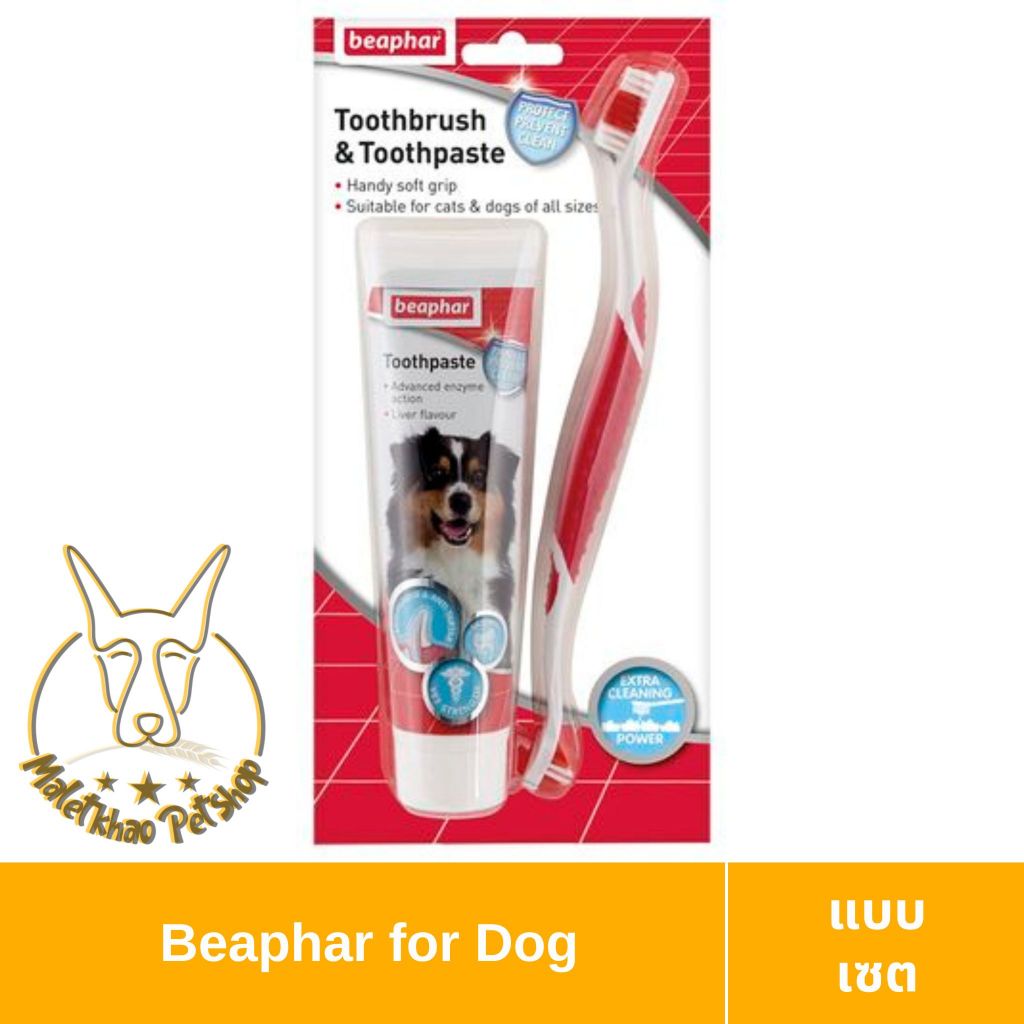 [MALETKHAO] Beaphar (บีฟาร์) Toothbrush&Toothpaste ขนาด 100 ml ชุดยาสีฟันแปรงสีฟัน สำหรับสุนัข