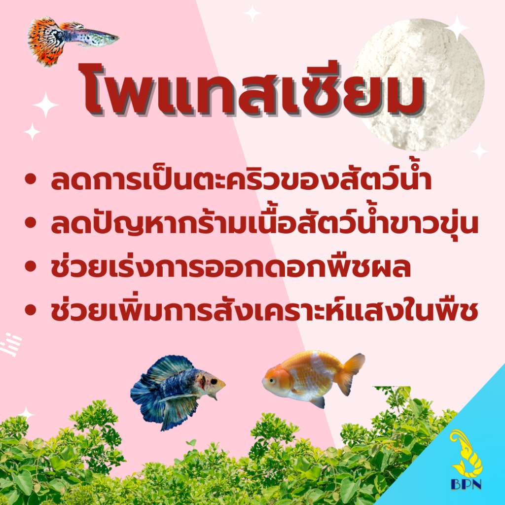 ครบจบที่เดียว แร่ธาตุแบ่งขาย แร่ธาตุรวมแร่ธาตุผสมอาหาร แคลเซียม แมกนีเซียม โพแทสเซียม แร่ธาตุน้ำทะเล - รูปที่ 3