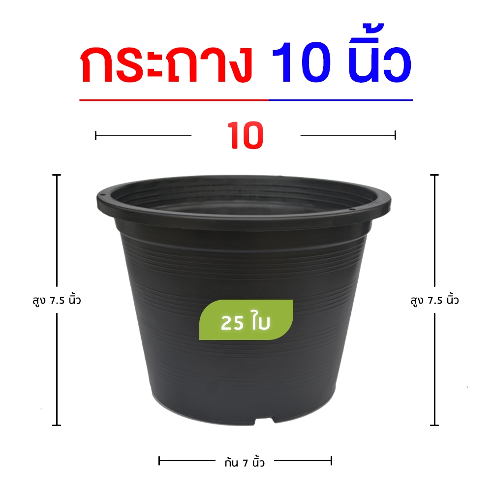 กระถางปลูกต้นไม้ แบบกลม 10 นิ้ว สีดำ แพ็ค 25 ใบ
