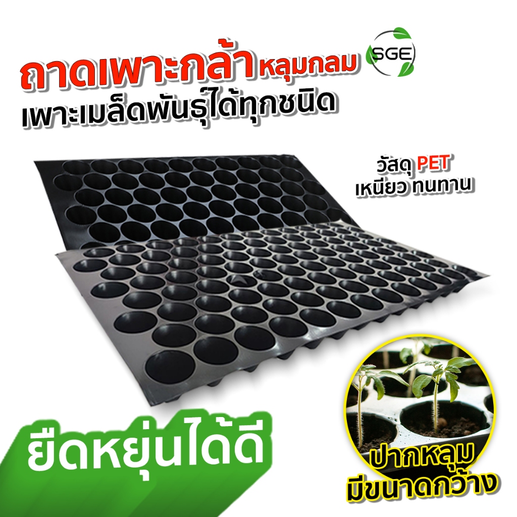 SGE ถาดเพาะกล้า เพาะข้าว หลุมกลม รุ่น GTC เหนียว ทนทาน หนามาก ของแท้จาก SGE