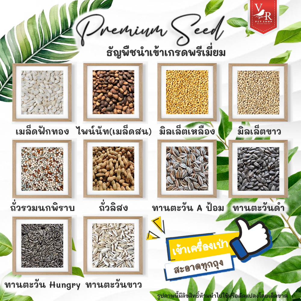 อาหารธัญพืชรวมแบ่งขาย 1kg เมล็ดฟักทอง,ไพน์นัท,มิลเล็ตขาวเหลือง,ถั่วรวม,ถั่ว,A ป้อม,ทานตะวันดำ,Hungry,กริต,ดินดำ