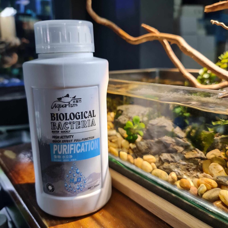 PURIFICATION QUICK EFFECT BACTERIA biological แบคทีเรีย บำบัดน้ำใช้หลังเปลี่ยนเพื่อเสริมแบคทีเรีย