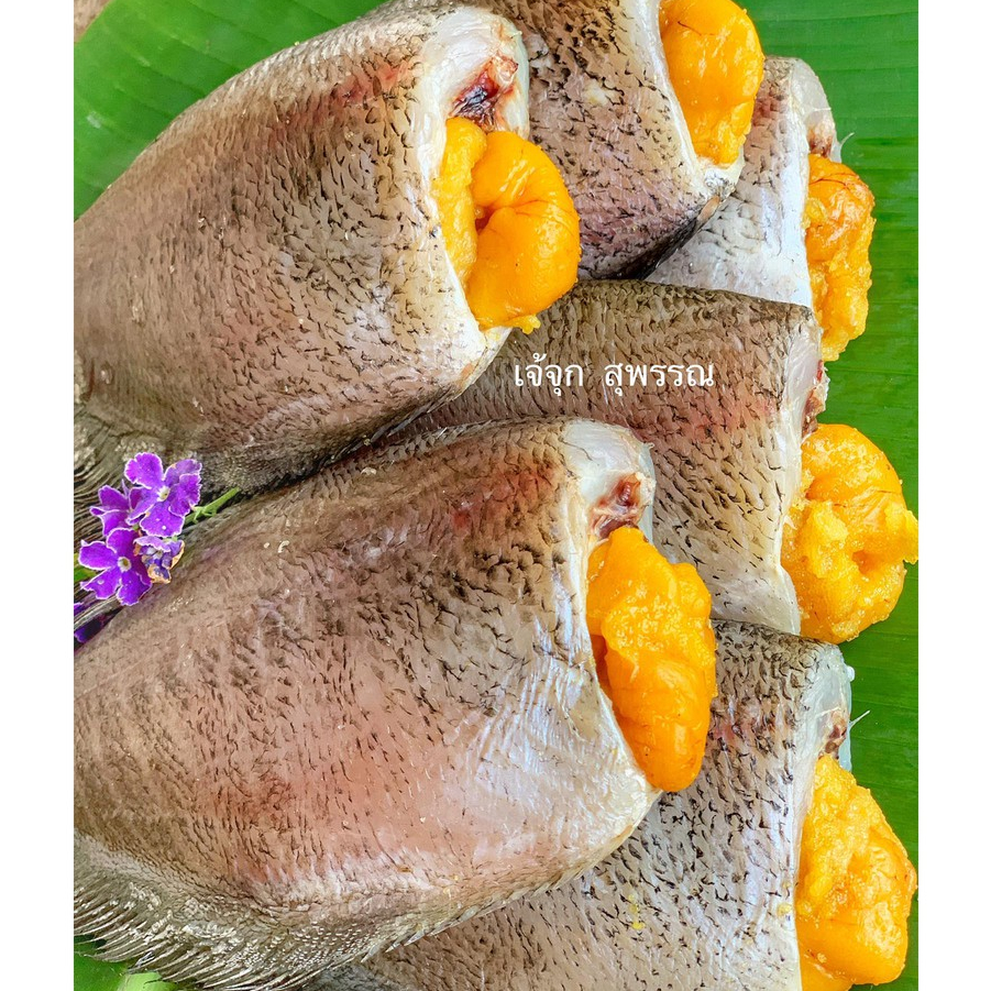 รูปภาพ 8