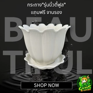กระถางรุ่น"บิวตี้" พร้อมจานรอง6นื้ว/8นิ้ว/10นิ้ว/12นิ้ว/15นิ้ว✅️รับประกันความหนา ทน เหนียว