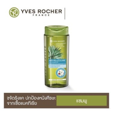 พร้อมส่ง❤️Yves Rocher Anti Dandruff Shampoo อีฟโรเช่ แชมพู 300ml อีฟโรเช่ แชมพู ⭐️หมดอายุ20/11/2025