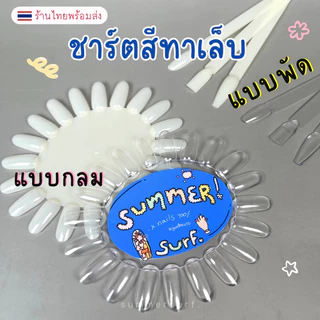 🇹🇭 ชาร์ตโชว์สีเล็บ💗 ชาร์ตทรงรี ชาร์ตทรงใบพัด ชาร์ตสีเล็บ พร้อมส่ง
