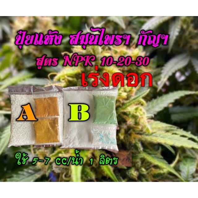 ปุ๋ย AB ปลูกสมุนไพร ฯ สูตร ทำใบ/ทำดอก/เร่งดอก  ชุด 3 ลิตร แถมสลิ้ง 10 cc  2 อัน+แคลแม็ก พลัส 160 cc 1 ขวด