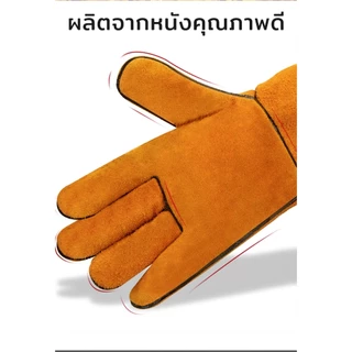 MUSCLE COW ถุงมือหนังงานเชื่อม 10.5" และ13" ทำจากหนังวัวชั้นที่ 2 ทั้งชิ้น เบาและสามารถระบายอากาศได้ดี ถุงมือเชื่อม