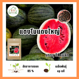 เมล็ดพันธุ์ แตงโมแดงใหญ่ บรรจุ 30 เมล็ด