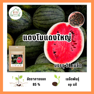 เมล็ดพันธุ์ แตงโมแดงใหญ่ บรรจุ 30 เมล็ด