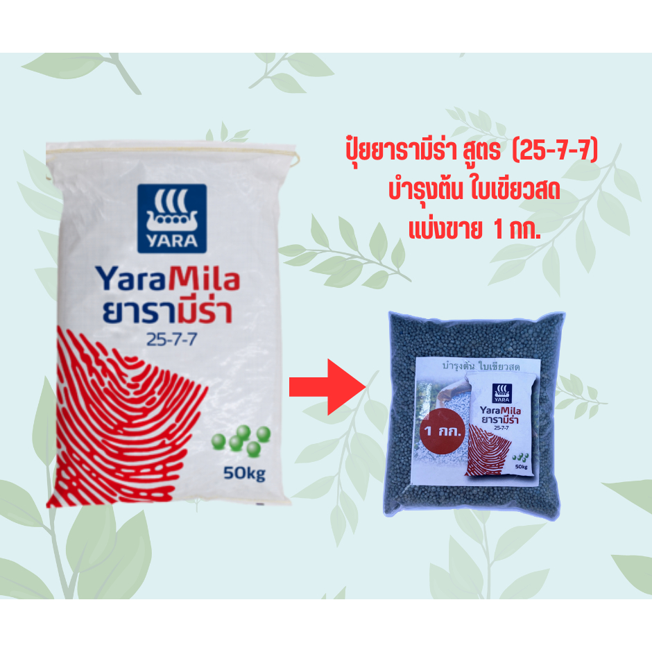 ปุ๋ยยารามีร่า สูตร (25-7-7) บำรุงต้น ใบเขียวสด