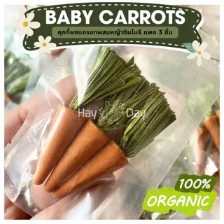 เบบี้แครอท Baby Carrot คุกกี้แครอท ธรรมชาติ 100% สำหรับกระต่าย แฮมเตอร์ ชูการ์ สัตว์ฟันแทะทุกชนิด