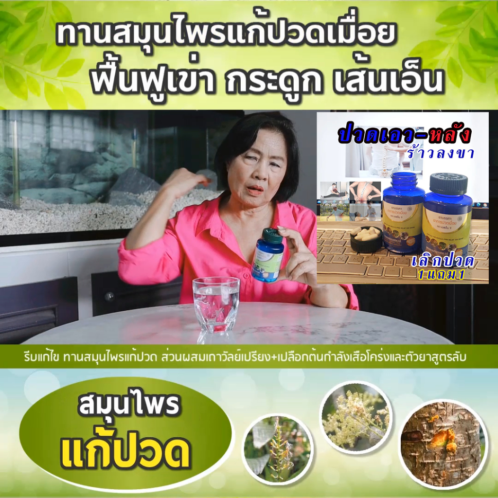 (ส่งฟรีไม่ต้องเก็บโค้ด) แก้ปวดเมื่อย เส้นยึด เอ็นจมกษัยเส้น ร้าวลงขา SN9เถาวัลย์เปรียง SN9แก้ปวดเมื่อย กระปุก30เม็ด ราคา ถูกที่สุด ดีลบีเคเค แกลเลอรีภาพที่ 2