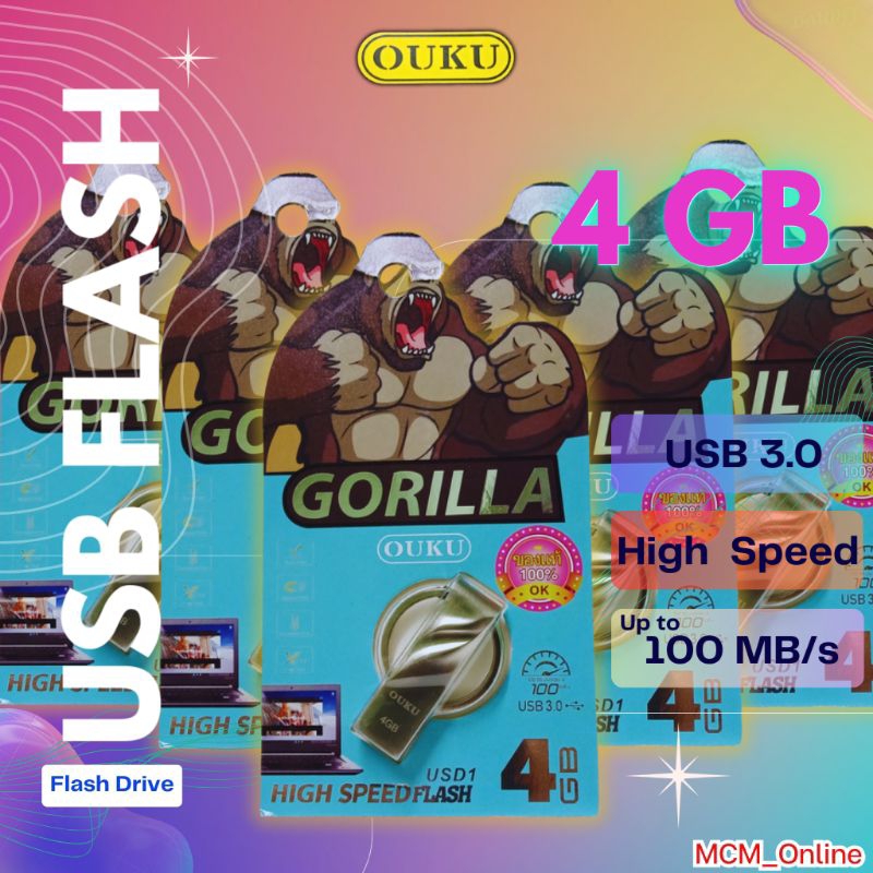 Flash Drive 4GB (USD1)